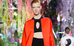 Christian Dior 2014春夏巴黎時(shí)裝發(fā)布會(huì)