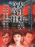 大红灯笼高高挂