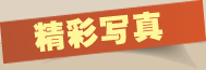 精彩写真
