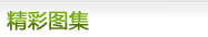 精彩圖集